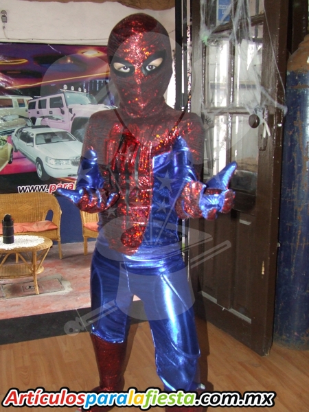 DISFRAZ PARA NI&Ntilde;O DE HOMBRE ARA&Ntilde;A MET&Aacute;LICO