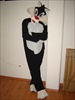 DISFRAZ DE GATO SILVESTRE 
