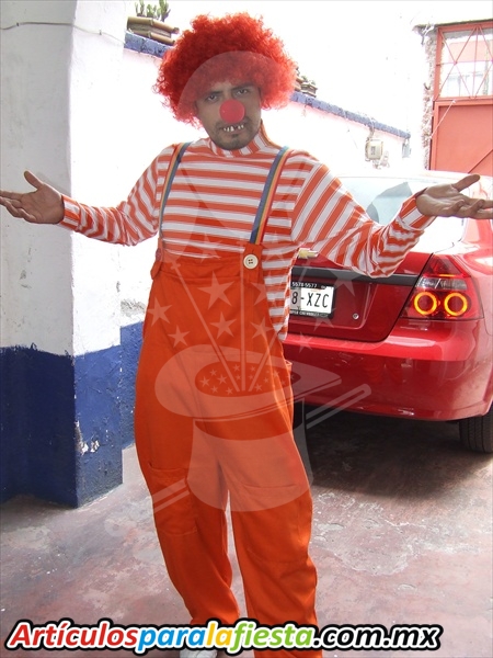 Disfraz para Adultos