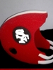 CASCO DE AMERICANO DE SAN FRANCISCO